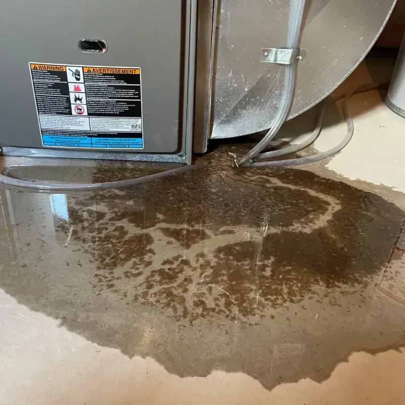 Appliance Leak Cleanup in Plainview, NY